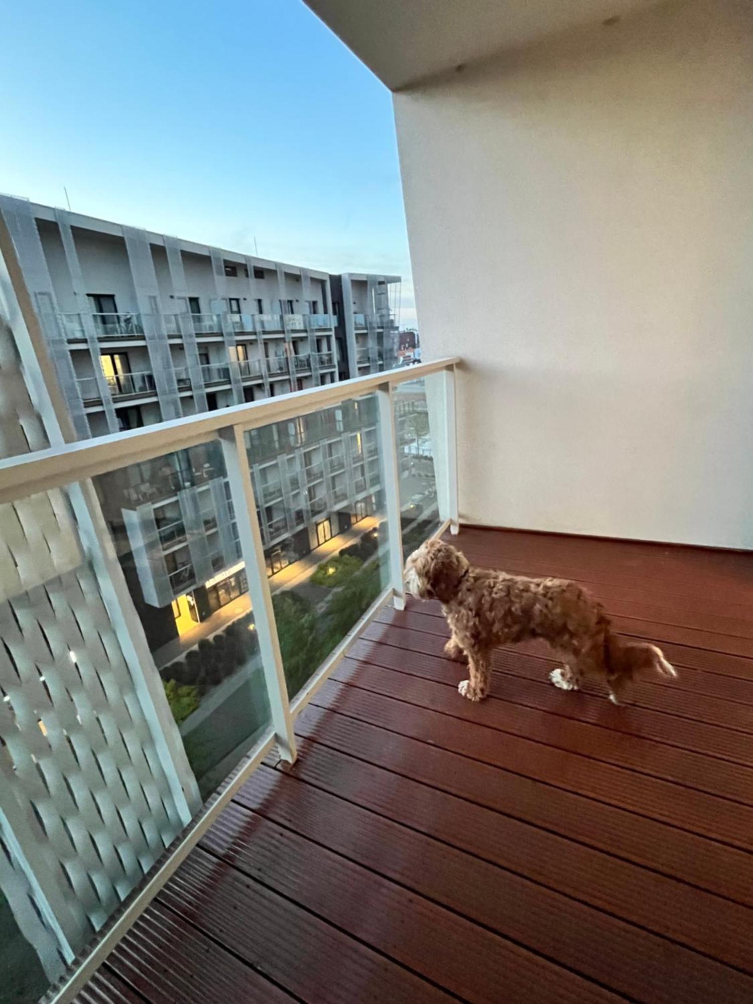 Family House By The River Odra -Panoramic Terrace - 3Room Apartment With 2 Separate Bedrooms And 2 Balconies By Wroapart-Pl- Perfect For Family & Business Stays 弗罗茨瓦夫 外观 照片